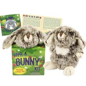 Peter Pauper Press Hug A Bunny Kit - Plush Toy Rabbit and Book Baby Toddler Gift